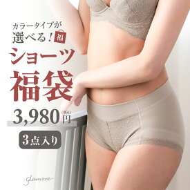 【連休限定！～8/12(火)9:59am迄】福袋 ショーツ 3枚入り 福袋 セットショーツ 綿 ショーツ パンツ 響かない ヒップアップ 大きいサイズ コットン セット まとめ買い グラモアブラ 下着 女性 レディース イエベ ブルべ パーソナルカラー グラモア FT1049 返品交換不可
