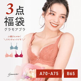 ＼A・Bカップの方必見／ブラジャー 福袋 育乳 ブラ 3点セット 下着 レディース グラモアブラ 育乳 補正 下着 レディース グラモア ブラジャー アウトレット A70・A75・B65 小胸 脇高 脇肉 谷間 シルエット 2026 FT1108 交換可・返品不可 送料無料