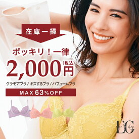 【最大63％OFF！ポッキリ2,000円ブラ】アウトレット 在庫限り 育乳ブラ ブラジャー グラモアブラ キスするブラ パフュームブラ 自胸 バストメイク バストアップ 補正下着 脇高 脇肉スッキリ 脇肉 大きいサイズ 盛りブラ 背肉 グラモア glamore FT1122【交換可・返品不可】