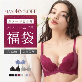 ＼在庫限り福袋／【ブラ3点セット福袋】育乳福袋 パフュームブラ 育乳ブラ 補正ブラ 大きいサイズ アンダー80 脇肉スッキリ 背肉 痛くない 谷間 盛れる 脇高 脇肉補正 離れ胸 30代 40代 補正下着 グラモア 送料無料 キャンセル不可