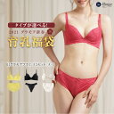 グラモア育乳福袋 ブラ&ショーツセット 2点セット サイズ交換可 返品不可 ブラショーツセット / ブラジャー 育乳ブラ ブラジャー バストアップ 脇肉 スッキ...