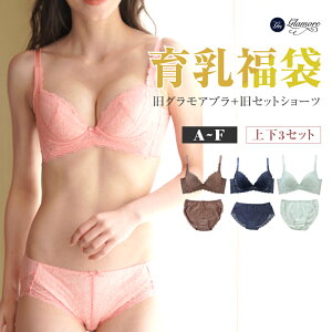グラモア 育乳福袋 旧グラモアブラ上下3セット 6点入り 福袋 下着 ブラショーツセット / ブラジャー 育乳ブラ ブラショーツ 脇肉 スッキリ 贅肉 谷間 盛り 垂れ胸 脇高ブラ 補正下着 産後 卒乳 FT1012 【返品交換不可】