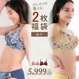 【カラーが選べる福袋】 ふわっときゅんブラ 2点入 セット ブラジャー 女性 レディース 下着 脇肉 谷間 育乳 育乳ブラ 補正 補整 小胸 大きいサイズ 花柄 ツイード グラモア サラコレクション FT1107 交換可・返品不可