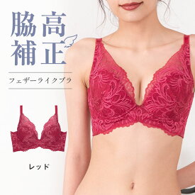 フルカップ風 ブラジャー 脇高補正 エイジングケア 大きいサイズ 小さいサイズ 痛くない 育乳 小胸 バストメイク 盛れる 脇高 谷間 産後 補正下着 レディース グラモア フェザーライクブラ glamore 福チケ 送料無料 初回返品交換0円