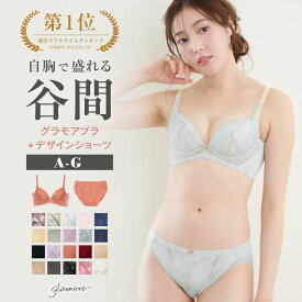 ＼15%OFFクーポン対象商品／育乳ブラ ブラジャー ショーツ 上下セット ワイヤー 大きいサイズ 脇高ブラ 補正ブラ 産後ブラ 小胸ブラ 脇肉補正 着痩せ 小胸 下垂 下着 谷間 脇肉 背肉 離れ乳 ブラ 補正下着 補正 脇高 産後 30代 グラモアブラ 送料無料 初回返品交換0円