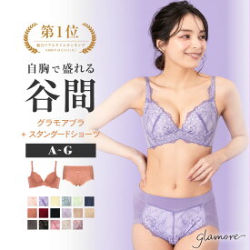 グラモアブラ＆スタンダードショーツ 育乳ブラ ブラジャー 小胸 谷間 グラモアブラ 自胸 バストメイク 補正下着 集肉 美乳 美胸 脇肉 大きいサイズ 補整 補正ブラ ブラ 産後 痛くない グラモア FT0087-88set【送料無料】【初回返品交換0円】