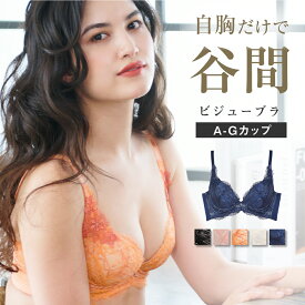 ビジューブラ｜ 育乳ブラ ブラジャー グラモアコレクション バストメイクブラ 育乳 集肉 背肉 バストアップ 脇高 脇肉 大きいサイズ ブラ ビジュー 谷間 単品 産後 グラモア FT0287 【送料無料】【初回返品交換0円】