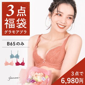 Bカップの方必見！！ブラジャー 福袋 育乳 ブラ 3点セット 下着 レディース グラモアブラ 育乳 補正 下着 レディース グラモア アウトレット B65 小胸 脇高 脇肉 谷間 シルエット FT1108 交換可・返品不可