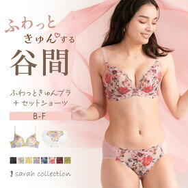 ふわっときゅんブラ サラコレクション ブラジャー ショーツ セット 上下セット 補正 産後 授乳後 谷間 バストメイク 下着 レディース 女性 送料無料 FT0297-SET 初回返品交換0円