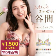 ＼期間限定SALE／【1,500円】 ふわっときゅんブラ　サラコレクション　 ブラジャー単品　補正 産後 授乳…