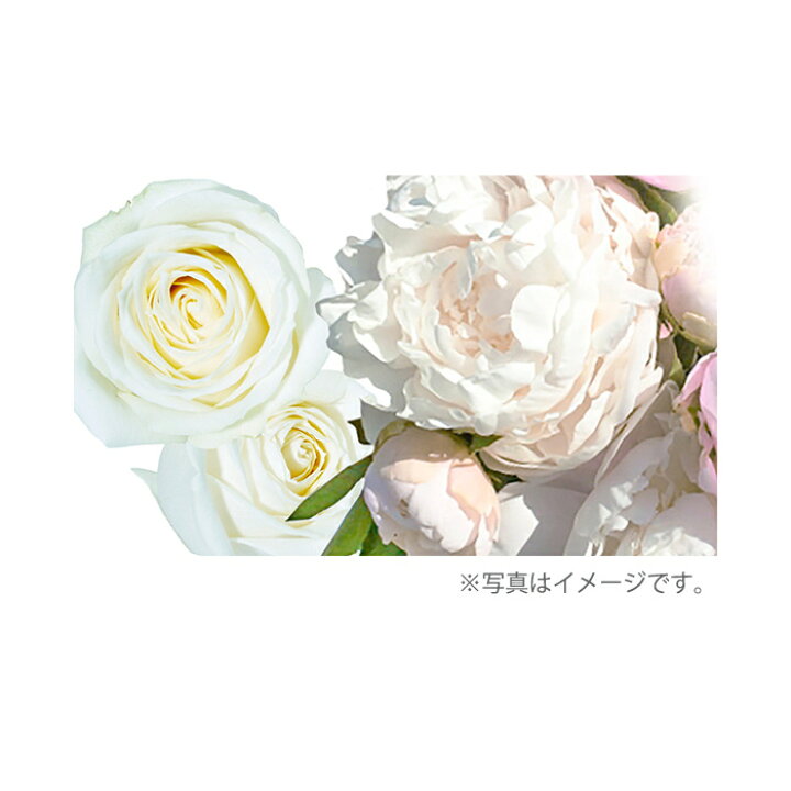 楽天市場】FTC FFプレステージケアクリーム 君島十和子 化粧品 送料 