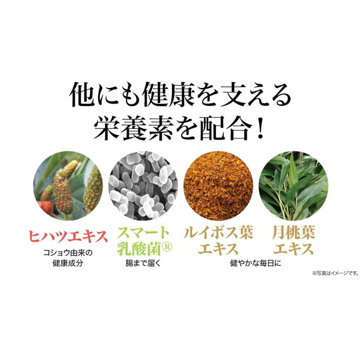 楽天市場】FTC ブライトチャージ サプリメント 美容 抗酸化 飲む日焼け 