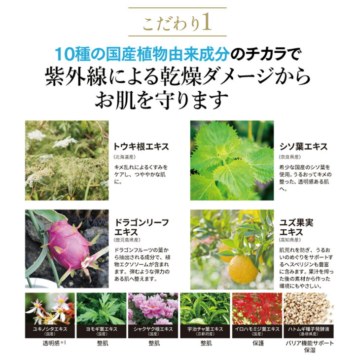 楽天市場】FTC ナチュラル UVボディスティックX（TEN) 君島十和子 