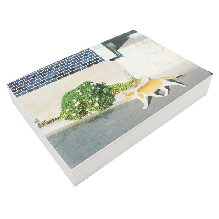 楽天市場】【蔦屋書店 蔦屋家電限定】『おはようもしもしあいしてる 