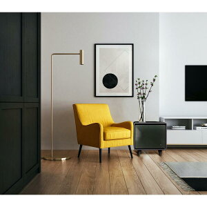 X}[ge[u SAPPHIRE by LOOZER (Tt@CA oC [U[) C STB30 BLACK (ubN) (4550230357772) ӉX ӉƓd