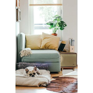 y݌ɂzX}[ge[u SAPPHIRE by LOOZER (Tt@CA oC [U[) C STB30 TOFFEE (gtB[) (4550230357802) ӉX ӉƓd