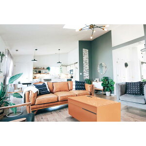 y݌ɂzX}[ge[u SAPPHIRE by LOOZER (Tt@CA oC [U[) C STB80 APRICOT (AvRbg) (4550230357833)