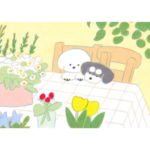 y󒍐YE12{̂͂zL-02 Ă炨Ȃ zW[N\vgi ӉX ӉƓd