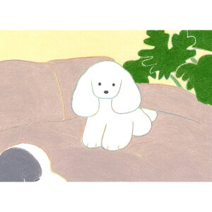 y󒍐YE12{̂͂zL-03 Ă炨Ȃ zW[N\vgi ӉX ӉƓd