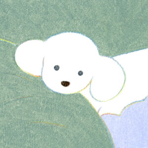 y󒍐YE12{̂͂zS-07 Ă炨Ȃ zW[N\vgi ӉX ӉƓd