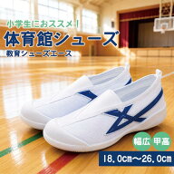 【残り僅か!500円OFFクーポン!】体育館シューズ 教育シューズ エース 軽量 メッシュ素材 学校 上履き 屋…