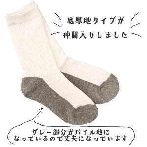 y3000~w500~OFFN[|zq C XN[\bNX  w 4Zbg ꂪڗɂ wZ  LbY w  ɂ  􂢑ւ w q ǂ 