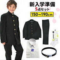 楽天市場】標準 学生服 175の通販