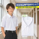 学生服 シャツ ワイシャツ スクールシャツ 半袖 中学生 小学生 通学 白 夏服 Yシャツ 学校用 高校 夏 大きいサイズ 男子 洗い替え 学校用 ベルト 体育服 シャツ 学生服 小学校 目玉商品