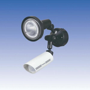 LED lCg Cg ZT[Cg m^ 30mpyLCL-101N(W)zTAKEX/|GWjAO