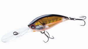 fG@3DB fB[vNN@PSSH vYZNV[Vbh