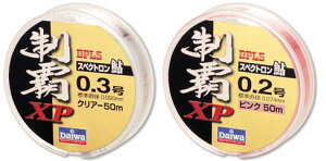 _C@XyNg eXP@NA@0D35@yދ@ނz