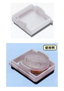 ^bNCWp@AE}`v[tP[XpgC@yދ@ނz