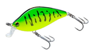 fG@3DS tbgNN 55F@SSH ZNV[Vbh@55F@yދ@ނz