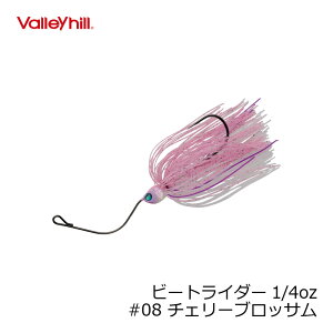 VHKChvCh@KChvCh@r[gC_[ 1/4oz #08 `F[ubT@yދ@ނz