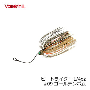 VHKChvCh@KChvCh@r[gC_[ 1/4oz #09 S[f{@yދ@ނz