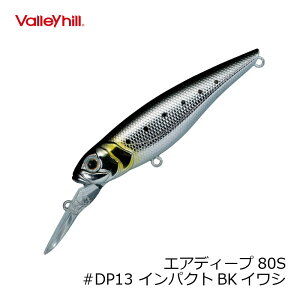 バレーヒル エアディープ80S DP13 インパクトBKイワシ