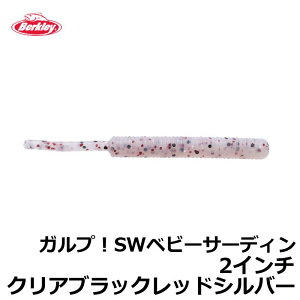 o[NC@G2SQBS2-CBRS KvISWxr[T[fB 2C` NAubNbhVo[@yދ@ނz