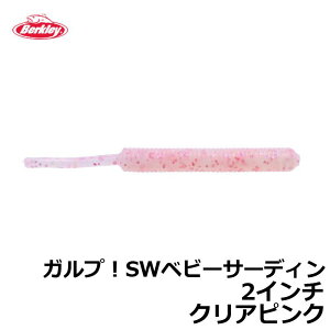 o[NC@G2SQBS2-CLP KvISWxr[T[fB 2C` NAsN