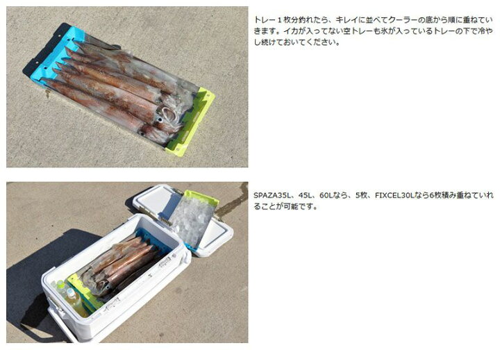 楽天市場】シマノ(Shimano) 冷えキントレー M 3枚セット 【お買い物マラソン 釣具 釣り具】 : 釣具のFTO