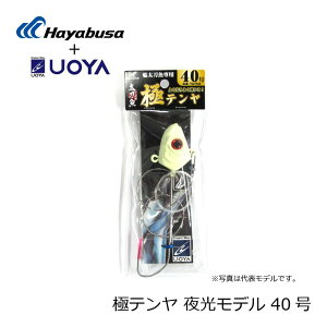 nuT@ɃeEVo[f@40 /  e D^`EI