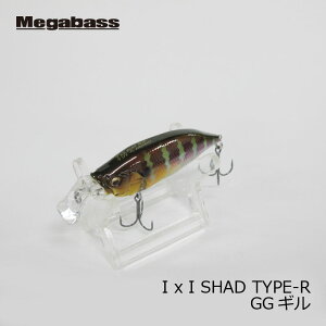 ���K�o�X�@IXI SHAD �i�A�C�o�C�A�C�V���b�h�j TYPE-R GG�M���@�y�ދ�@�ނ��z