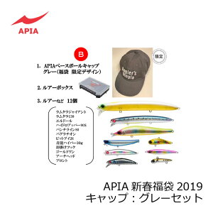 アピア　2019APIA福袋 キャップ グレー　/ソルトルアー 福袋 帽子 ボックス　【お買い物マラソン　釣具　釣り具】