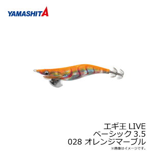 }V^@GM LIVE 3.5 028 IW}[u z e[v@/GM 2019N Vi GMO  AICJ GM Cu