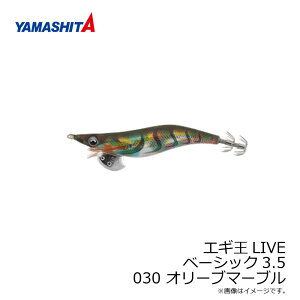 }V^@GM LIVE 3.5 030 I[u}[u z e[v@/GM 2019N Vi GMO  AICJ GM Cu
