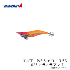 }V^@GM LIVE V[ 3.5S 025 II}S[ z PC{fB@/GM 2019N Vi GMO  AICJ GM Cu