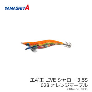 }V^@GM LIVE V[ 3.5S 028 IW}[u z e[v@/GM 2019N Vi GMO  AICJ GM Cu