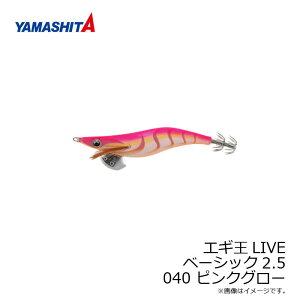 }V^@GM LIVE 2.5 040 sNO[ x[VbNz {fB