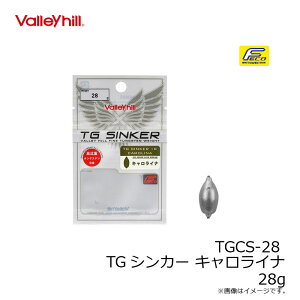 o[q@TGCS-28 TGVJ[ LCi 28g