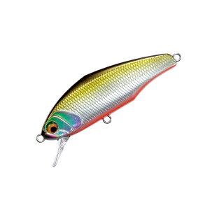 X~X@D-CTCg53 06 TS nN / gEg wr[VLO ~m[