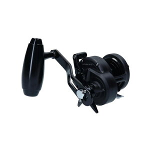 ダイワ(Daiwa) 19 キャタリナ 15H-SJ / ジギング ベイトリール 右ハンドル 【釣具 釣り具】